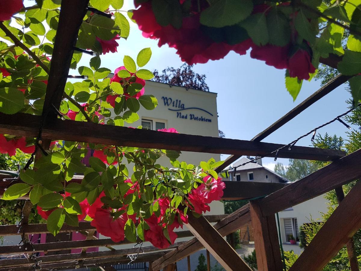 Willa Nad Potokiem Kudowa-Zdrój Esterno foto